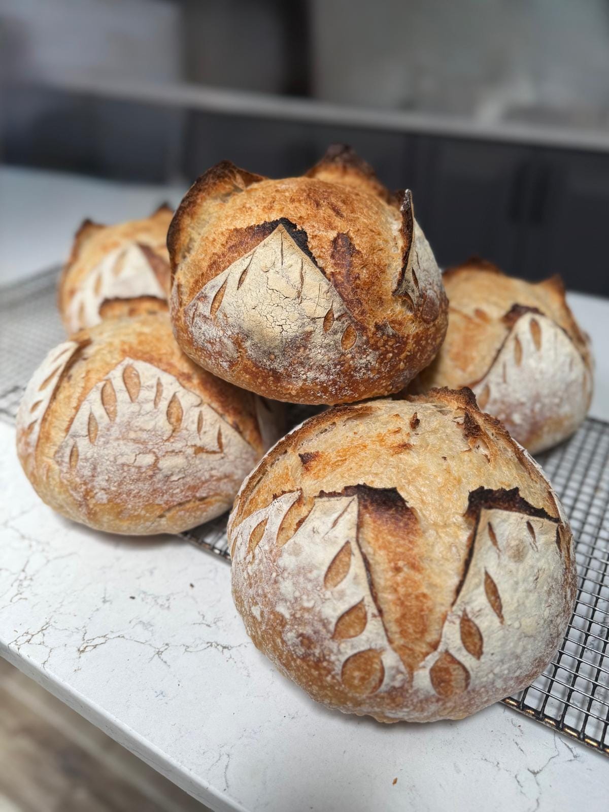 Freshly baked breads